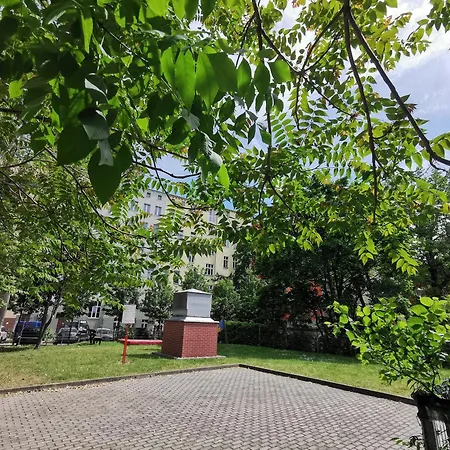 Pionier 71b Vratislav